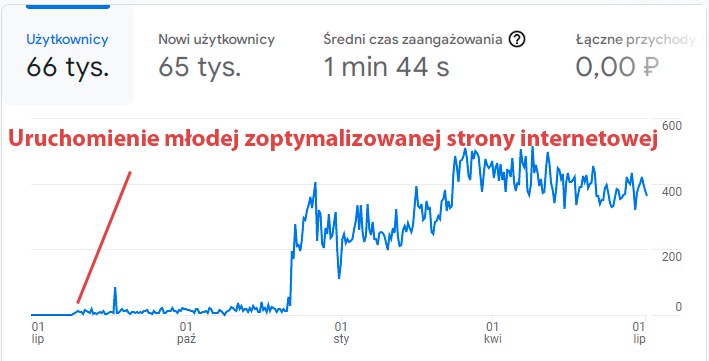 Uruchomienie młodej zoptymalizowanej strony internetowej